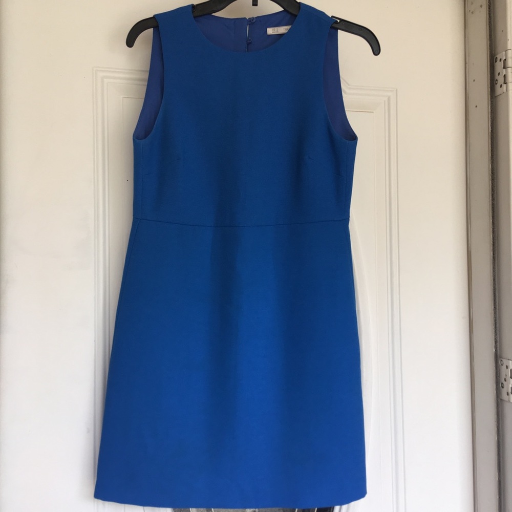 Zara Trafaluc Dress
